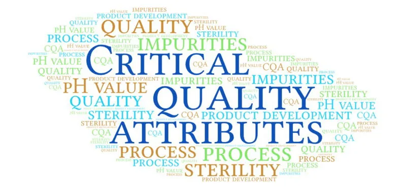 Critical Qualities to Look for in Business Interpreters